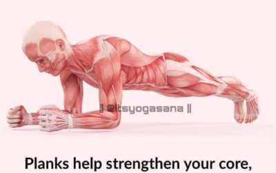 Back Pain Stretches and Exercises